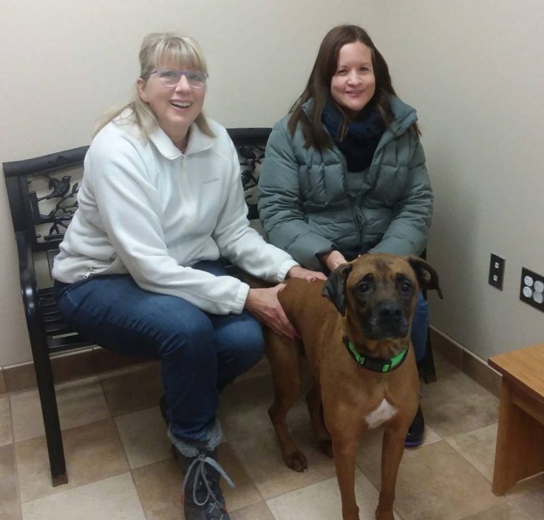 Brainerd Animal Shelter Photo Gallery Heartland Animal Rescue Team