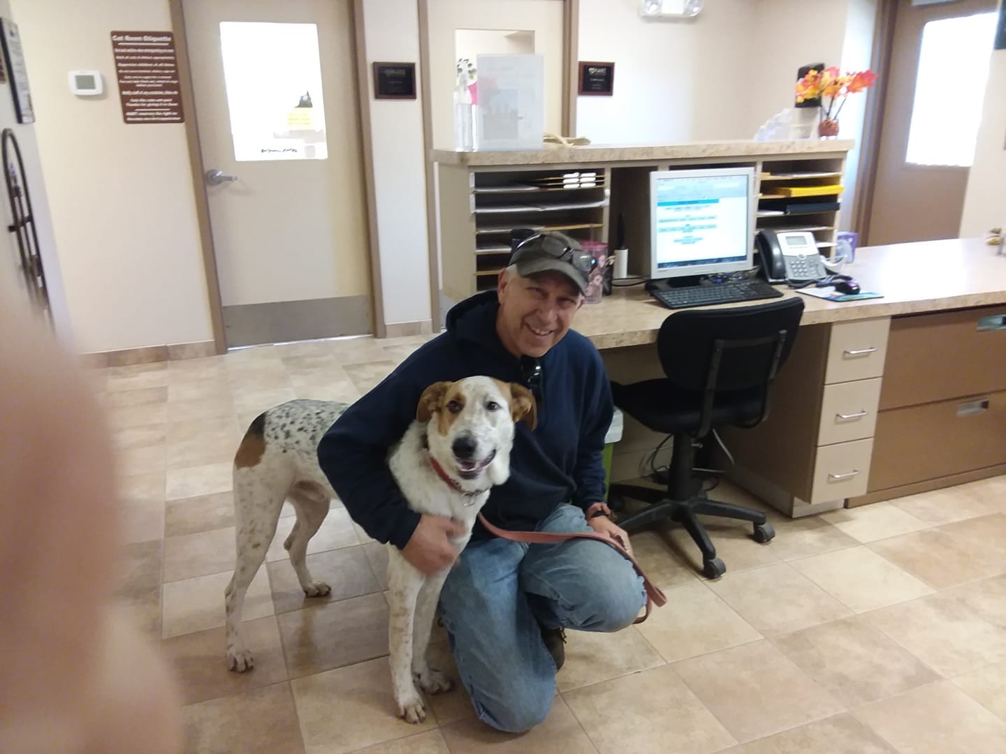 Brainerd Animal Shelter Photo Gallery Heartland Animal Rescue Team